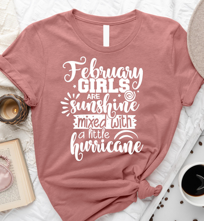 February Girls Are Sunshine Mixed With A Little Hurricane Birthday Gift Standard/Premium T-Shirt - Dreameris
